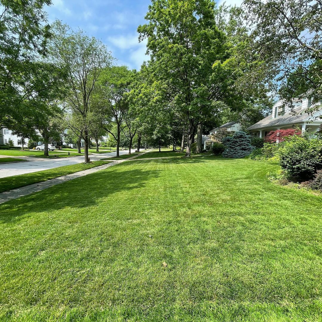 The Lyman neighborhood in Shaker Heights