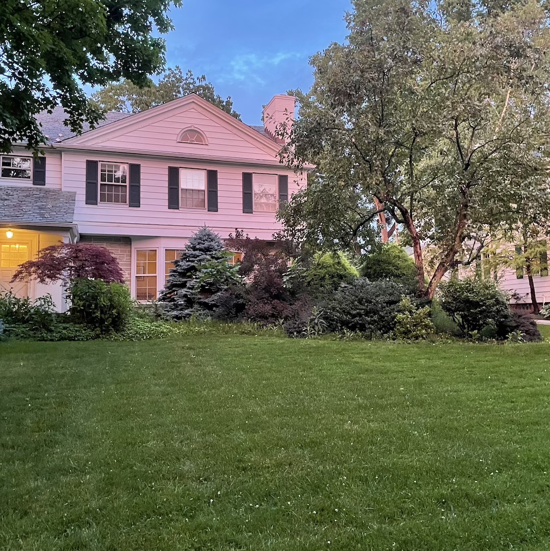 A good looking lawn at sunset